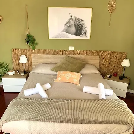 Apartment Materdei